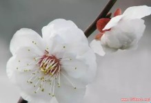 超有道理的6句话，看了绝对让你终生受益